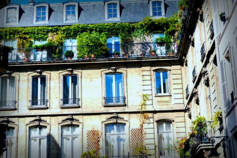 Nathalie Baye : un havre de paix parisien avec ses chats Pilou et Lola