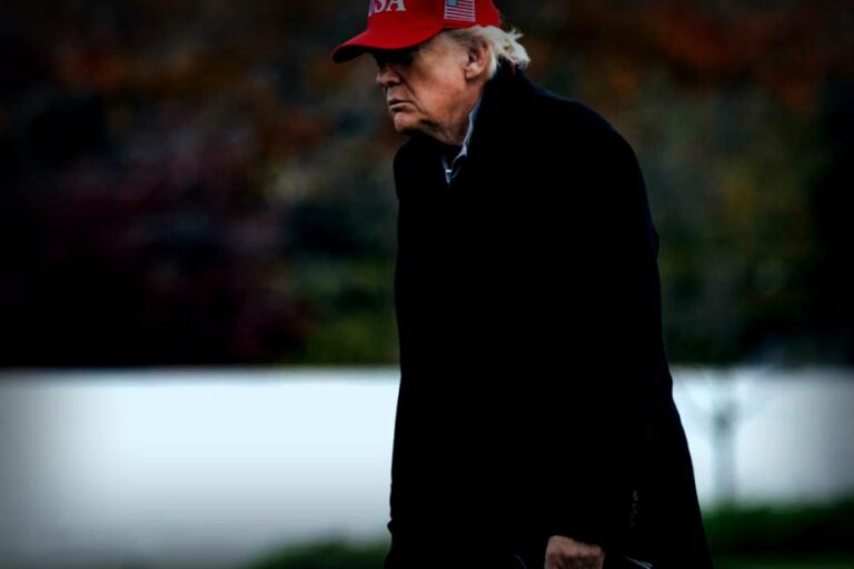 Trump et le redécoupage électoral : un pari risqué pour les Républicains ?